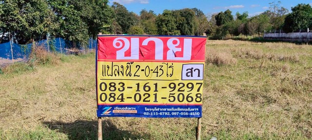 ขายที่ดินราคาถูก ทำเลดี   2-0-43 ไร่  หนองไผ่  ชุมแพ  ขอนแก่น   ZK592