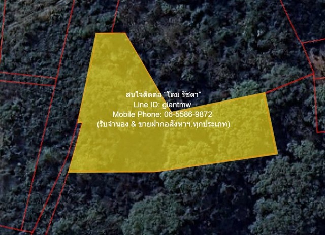 พื้นที่ดิน ขายที่ดินเปล่า 2-0-64.1 ไร่ ท่าโพธิ์ จ.พิษณุโลก ราคา 1.60 ล้านบาท   64 Square Wah 0 Ngan 2 RAI 1600000 THB ใกล้ ใกล้แม่น้ำน่าน สะอาด พิษณุโลก   