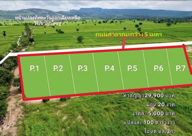 ขายที่ดินแบ่งแปลงละ 100ตรว. 99,000บ. ฟรีโอน ผ่อนตรงได้ วิวดอย ใกล้ อบต.ดงมะรุม 1 กม. ต.นิยมชัย อ.สระโบสถ์ ลพบุรี