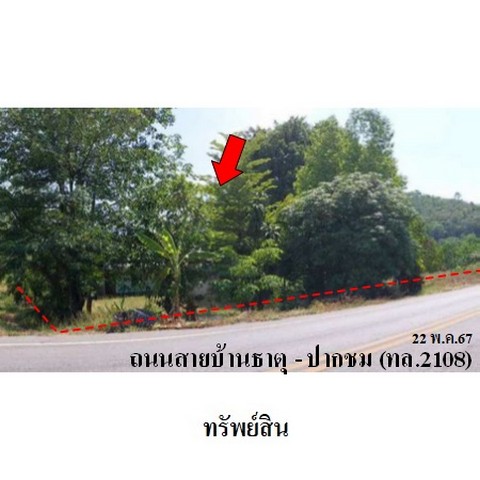 ขายบ้านเดี่ยว ถนน สายบ้านธาตุ-ปากร่วม (ทล.2108) ตำบล ธาตุ อำเภอ เชียงคาน จังหวัด เลย