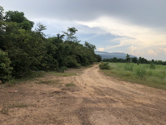 รวมบ้านที่ดินดีงามเพื่อคุณ  ขายที่ดินสวยติดภูเขา เทือกเขายาวเรียงแนว ดินดีสมบูรณ์ทรัพย์ในดิน ฟ้าใสวิวหลักล้าน ต.นาจาน อ.สีชมพู จ.ขอนแก่น 