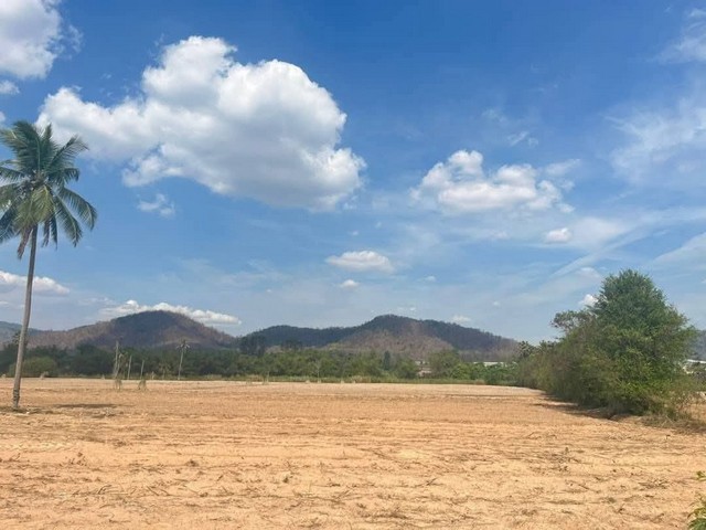 ขายที่ดินศรีราชาชลบุรี ใกล้ท่าเรือแหลมฉบังชลบุรี ผังม่วงลาย บนเนื้อที่ดิน 51-1-62.4 ไร่     