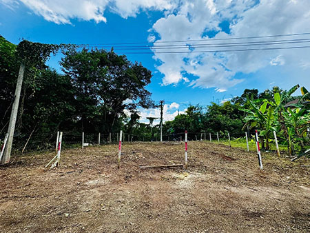 ขายด่วนๆ ที่ดิน ทำเลดี หลังบริษัทสหพานิช โชตนา  ต.ช้างเผือก อ.เมืองเชียงใหม่ 