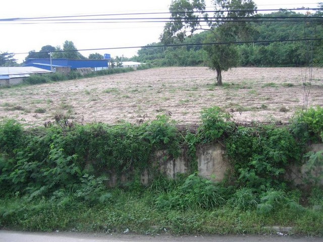 ขายที่ดินเปล่า บ้านฉาง ระยอง 6 ไร่ ติดถนนสุขุมวิท ทำเลทอง ใกล้ EEC TP-L1821