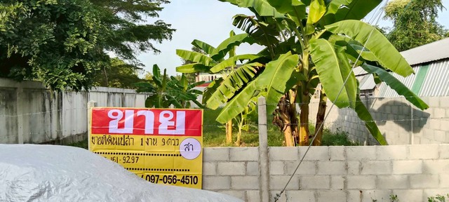 ขายที่ดินราคาถูก ทำเลดี  109 วา  พระลับ เมืองขอนแก่น   ZK600