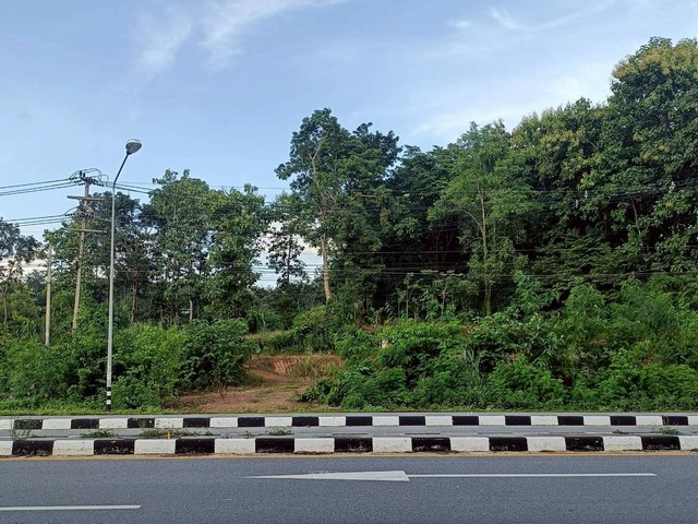 ขายที่ดิน 2-3-81ไร่  8.3ลบ. ติดถนนบายพาส101 AH13 เยื้องโรงโม่ ส.เต็งไตรรัตน์ ต.ผาสิงห์ อ.เมือง น่าน