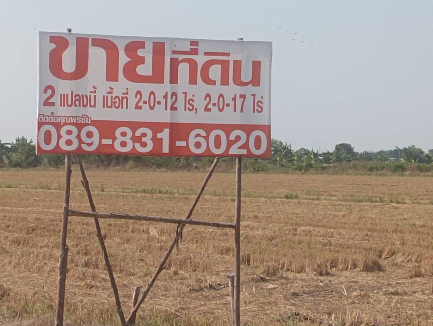 ขายที่ดินเปล่า 3 เเปลง ทำเลบางเสาธง – บางพลี จังหวัดสมุทรปราการ