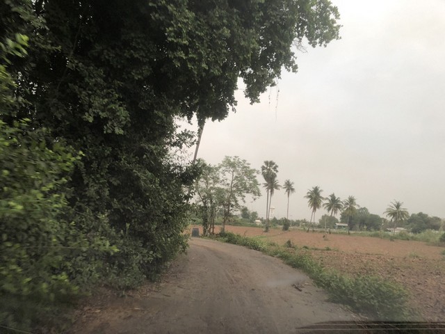 ที่ดินบ้านพร้อมโอนเจ้าของขายเอง ขายที่สวยติดแม่น้ำน่าน ชุมแสง  จ.นครสวรรค์ 300000 บาท.วิวแม่น้ำเกษตรดีงามสวยสมบูรณ์