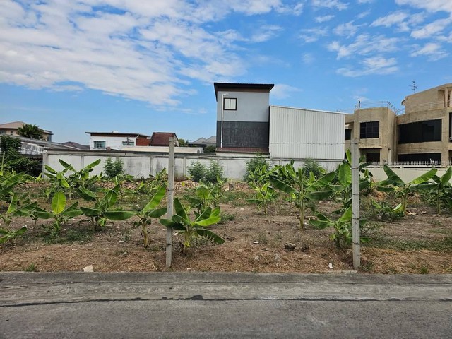 ขายที่ดิน 416 ตรว. (1 ไร่) ถมแล้วย่านเลียบด่วน นาคนิวาส 21 ทะลุ สังคมสงเคราห์ 28 ได้ ที่ดินหน้ากว้างสวย ถนนกว้าง ที่สวย ราคาดีน้ำไม่ท่วม