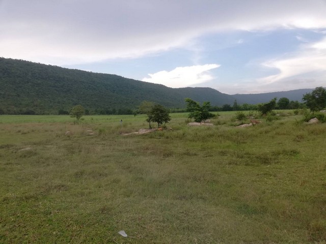 โปรปังทรัพย์ดีปลายปี68  ขายที่ดินสวยติดภูเขา เทือกเขายาวเรียงแนว ดินดีสมบูรณ์ทรัพย์ในดิน ฟ้าใสวิวหลักล้าน ต.นาจาน อ.สีชมพู จ.ขอนแก่น 