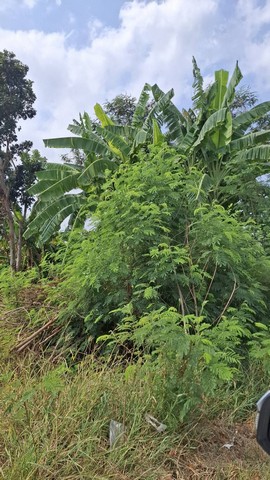 ขายที่ดินถมแล้ว 6 ไร่เศษ ใกล้อ่างเก็บน้ำรัชโลทร ต.วัดสุวรรณ อ.บ่อทอง จ.ชลบุรี