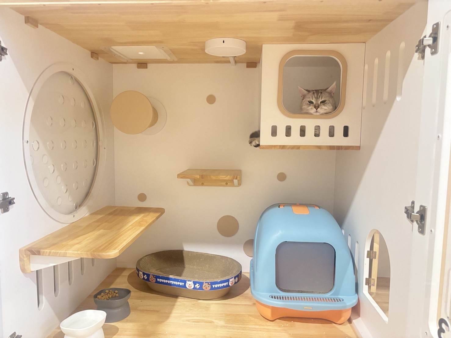 ปล่อยเซ้ง โรงแรมแมว+ร้านคาเฟ่ ริมถนนพระราม 9 ซอย 41  ใกล้โรงพยาบาลสัตว์