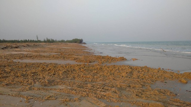 ขายด่วนที่ดินติดทะเล ตำบลบ่อนอก อำเภอเมืองประจวบคีรีขันธ์ จังหวัดประจวบคีรีขันธ์  