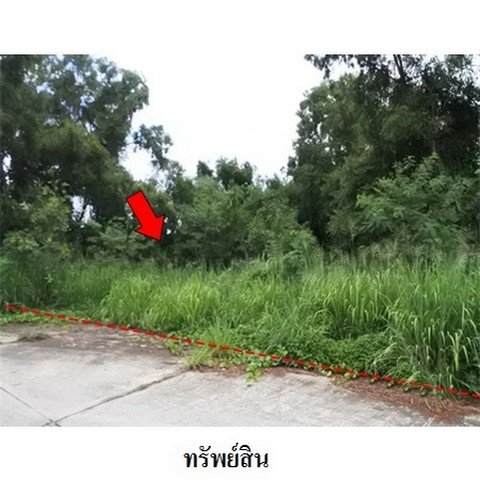 ขายที่ดินว่างเปล่า โครงการ สวนวลีแลนด์ 4 ถนน สายบางละมุง-ระยอง (ทล.36) ตำบล ทับมา อำเภอ เมืองระยอง จังหวัด ระยอง