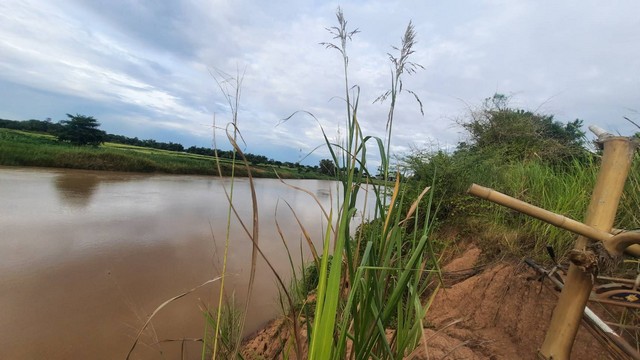 รวมบ้านที่ดินดีงามเพื่อคุณ  ขายที่สวยติดแม่น้ำน่าน ชุมแสง  จ.นครสวรรค์ 300000 บาท.วิวแม่น้ำเกษตรดีงามสวยสมบูรณ์