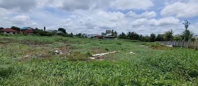 ขายที่ดินบางมด 200 ตร.ว. ซอยสุวรรณโพธิ์ - เหมาะมากสำหรับสร้างบ้าน สำนักงาน