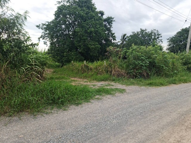 รวมบ้านที่ดินดีงามเพื่อคุณ ที่ปากช่อง 2ไร่- 8ไร่ โฉนด ต.วังไทร อ.ปากช่อง จ.นครราชสีมา ไร่ละ  2.9 ลบ.สูงจากระดับน้ำทะเลมาก น้ำไฟพร้อม