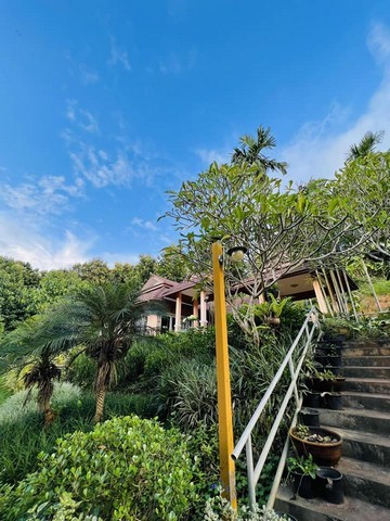 ให้เช่าหรือขายบ้านรีสอร์ทพร้อมเฟอร์ พื้นที่1-2-28ไร่ 5นอน4น้ำ เช่า 40,000บ. ขาย5.5ลบ. ต.สะเมิงใต้ อ.สะเมิง เชียงใหม่