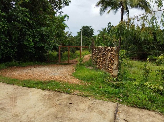 ขายที่ดิน 7-1-76 ไร่ 2.7ลบ. ติดถนนคอนกรีต น้ำ ไฟ วิวเขา บ้่านจำตาเหิน ต.ทาสบเส้า อ.แม่ทา ลำพูน