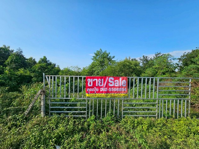 ขายที่เปล่าราชบุรีติดถนนทางหลวงชนบทใกล้ศูนย์การเรียนรู้เศรษฐกิจพอเพียง ต.หินกอง อ.เมือง จ.ราชบุรี