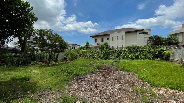 ขายที่ดินพร้อมสิ่งปลูกสร้าง282ตร.ว.ย่านพระโขนงสุขุมวิท71ปรีดีพนมยงค์14ใกล้BTSพระโขนง